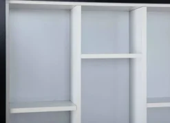 Sammlervitrine LENNY 66,5x66,5x13,7 cm Schwarz/Weiß