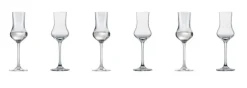 SCHOTT ZWIESEL Digestifglas CLASSICO 6er Set - je 95 ml