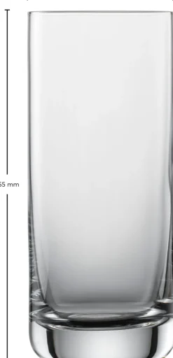 SCHOTT ZWIESEL Longdrinkglas SIMPLE 6er Set 390 ml