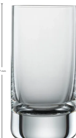 SCHOTT ZWIESEL Schnapsglas SIMPLE 6er Set 46 ml