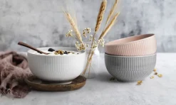 Seltmann Weiden Müslischale AMINA 2er Set Porzellan silbergrau