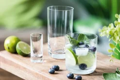 TAFELWERT Whiskybecher MATTEO 6er Set