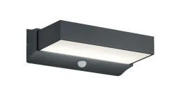 TRIO LED Außenwandleuchte CUANDO B grau